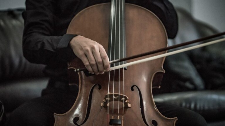 Streichinstrumente Geige Cello Kontrabass Aufbau Und Klang streichinstrumente-geige-cello-kontrabass-aufbau-und-klang