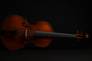 Kontrabass quer liegend auf dunklem Hintergrund – Artikelbild für Musikinstrumente