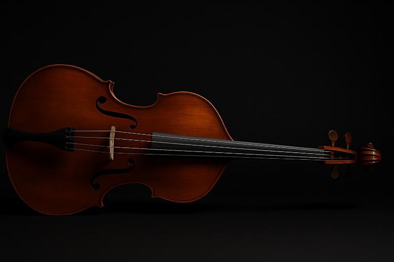 Kontrabass quer liegend auf dunklem Hintergrund – Artikelbild für Musikinstrumente