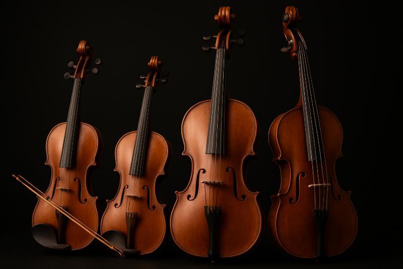 Übersicht klassischer Streichinstrumente mit Violine, Viola, Cello und Kontrabass