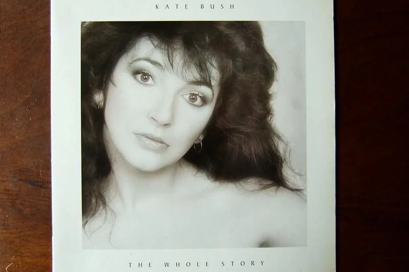 Plattencover von Kate Bush