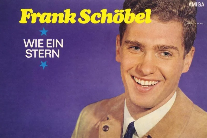 Porträt eines lächelnden Mannes mit kurzen braunen Haaren in beigem Jackett, vor violettem Hintergrund, mit gelber Schrift „Frank Schöbel“ und dem Titel „Wie ein Stern“.